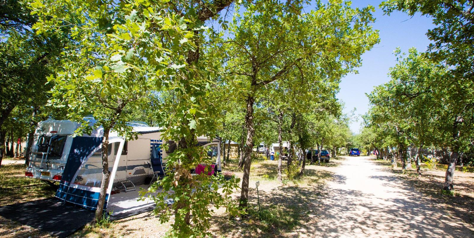 Domaine Des Chênes Blancs - Saint Saturnin Les Apt | Camping Direct