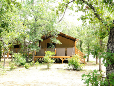 Lodge PREMIUM