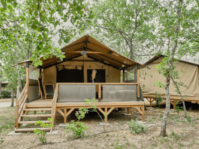 Lodge COSY