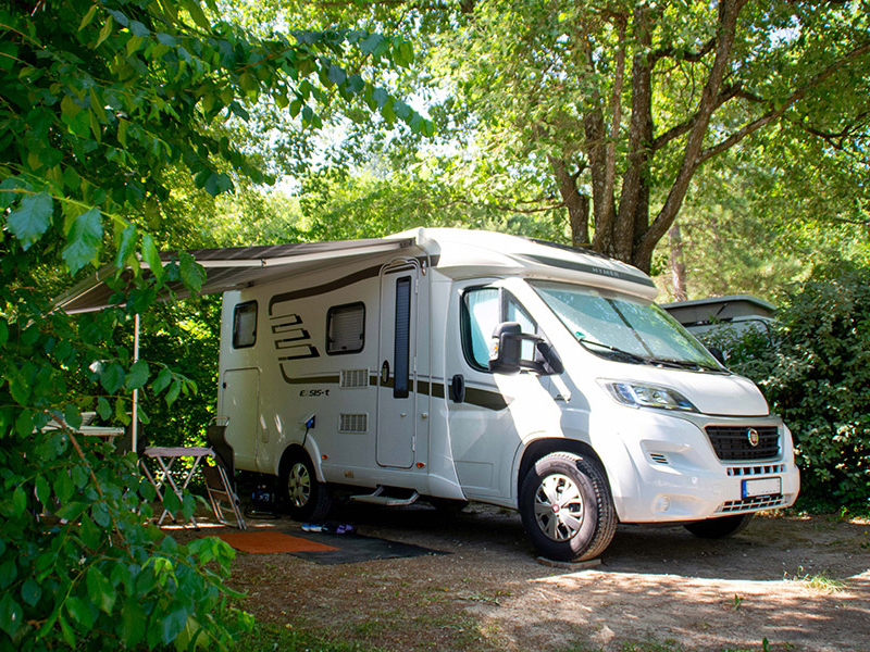 Emplacement - Emplacement Confort Xl Tente/Van/Caravane/Camping-Car (Avec Électricité) - Camping Les Chênes Blancs