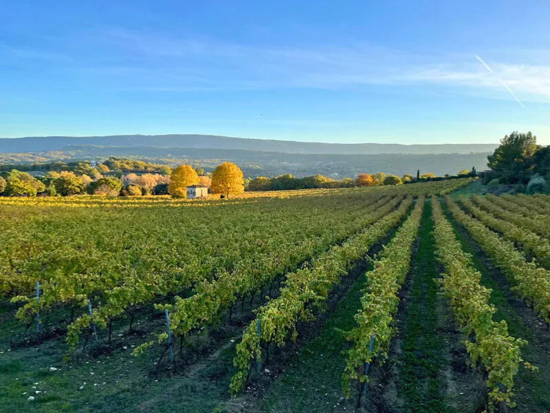 Domaine des Chênes Blancs