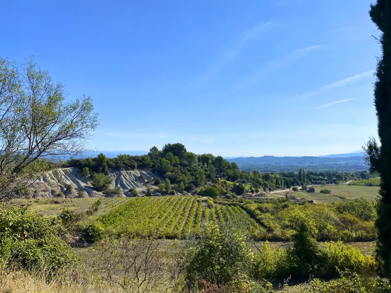 Domaine des Chênes Blancs