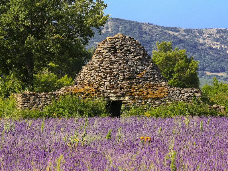 Domaine des Chênes Blancs