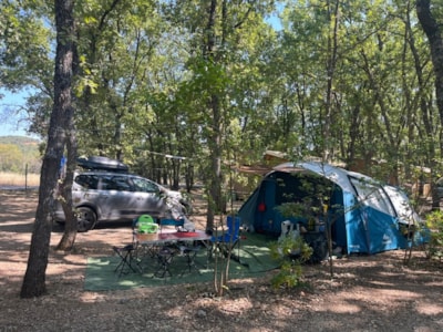 Medium Comfort Pitch Tent/Van < 6m (with electricity)