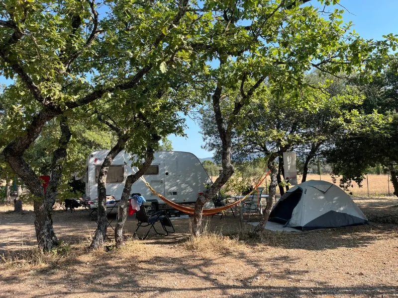 Emplacement - Emplacement Confort Xl Tente/Van/Caravane/Camping-Car (Avec Électricité) - Domaine des Chênes Blancs