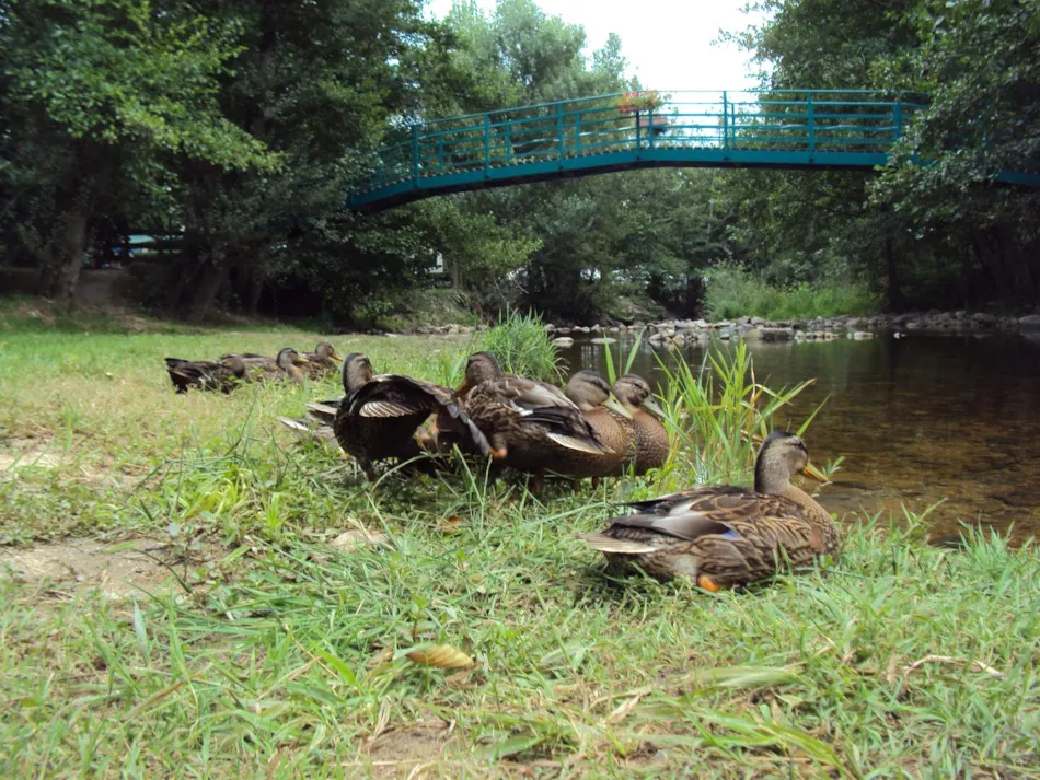 Camping Les Moulettes