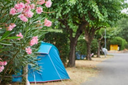 Kampeerplaats(en) - Standplaatsen - Camping La Paoute