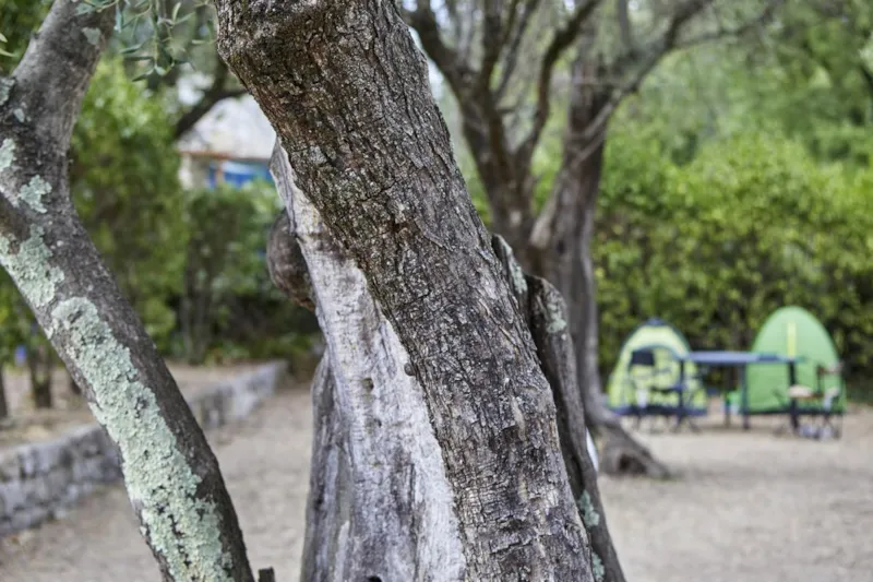 Emplacement En Camping Caravane Et Camping-Car Plus De 7 Mètres