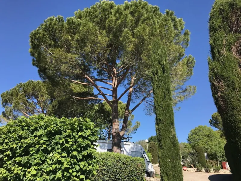 Emplacement En Camping Caravane Et Camping-Car Plus De 7 Mètres