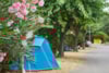 Camping Qualité