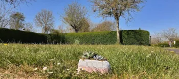 Stellplatz - Camping-Pauschale (Stellplatz, 2 Personen, 1 Fahrzeug) - Camping Onlycamp Sous Les Pommiers