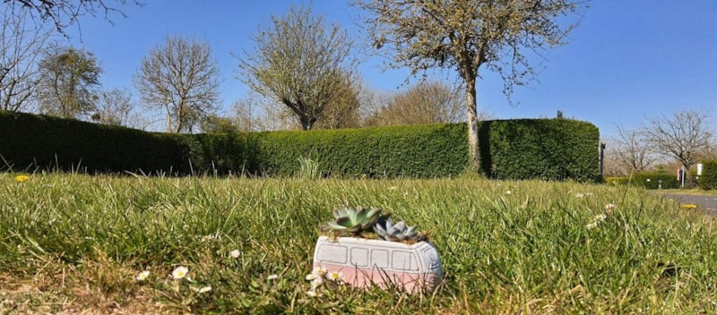 Pacchetto campeggio (1 piazzola, 2 persone, 1 attrezzatura)