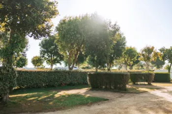 Stellplatz - Stabilisierter Stellplatz 2 Personen Und Strom - Camping Baie de Saint Pol