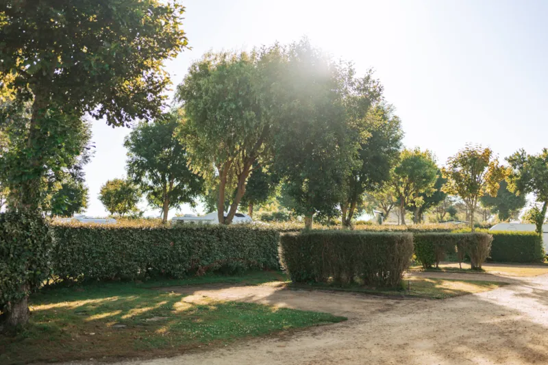 Emplacement Stabilisé 2 Personnes Electricité