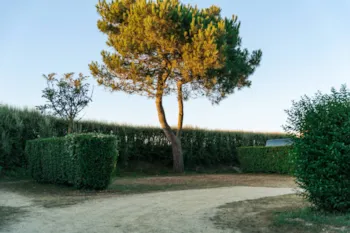 Stellplatz - Forfait Randonneur - Camping Baie de Saint Pol