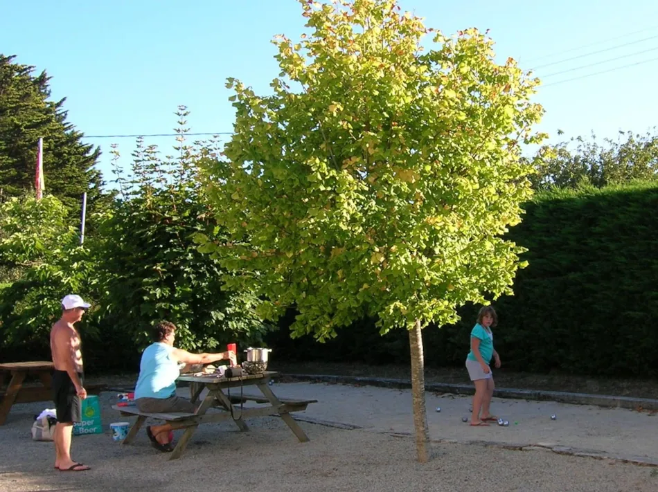 Camping des Chaumières
