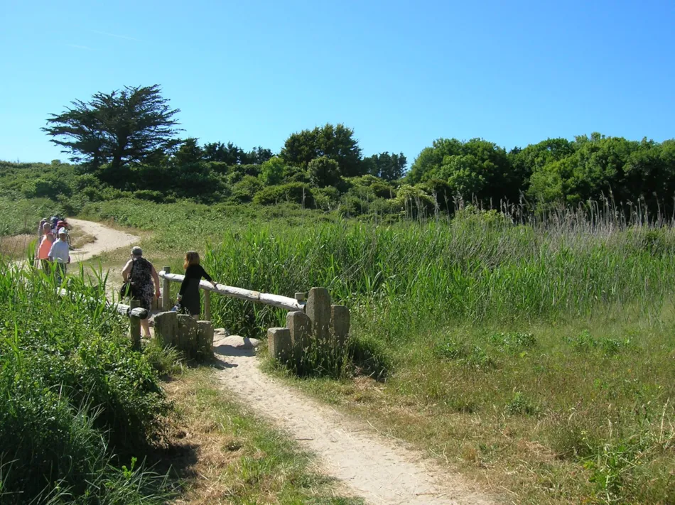 Camping des Chaumières