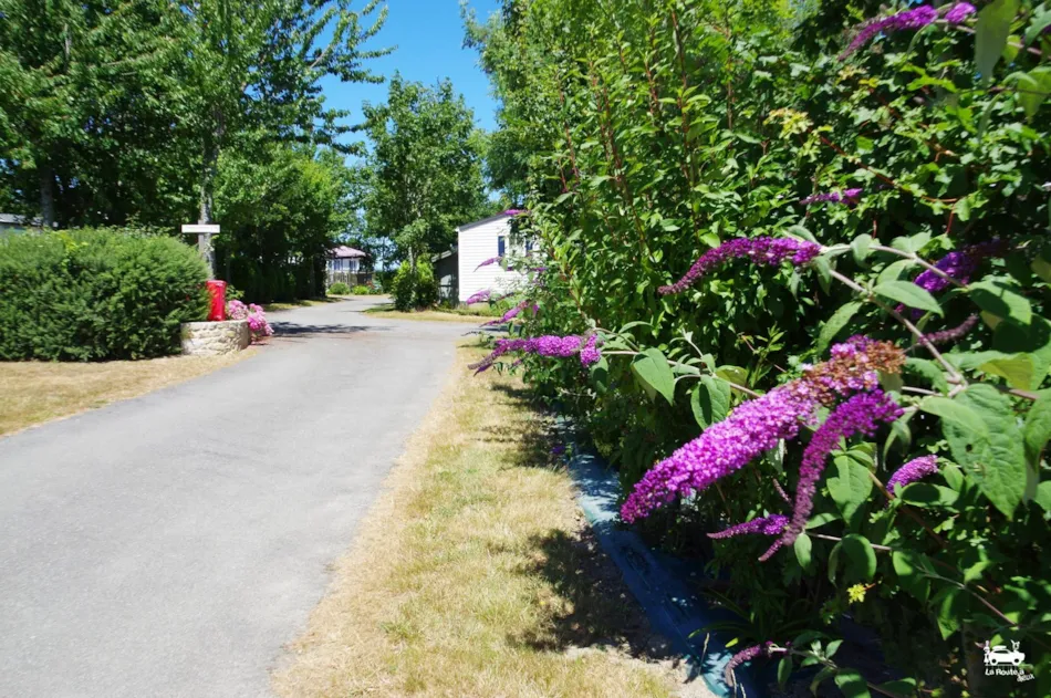 Camping La Ferme de Lann Hoedic