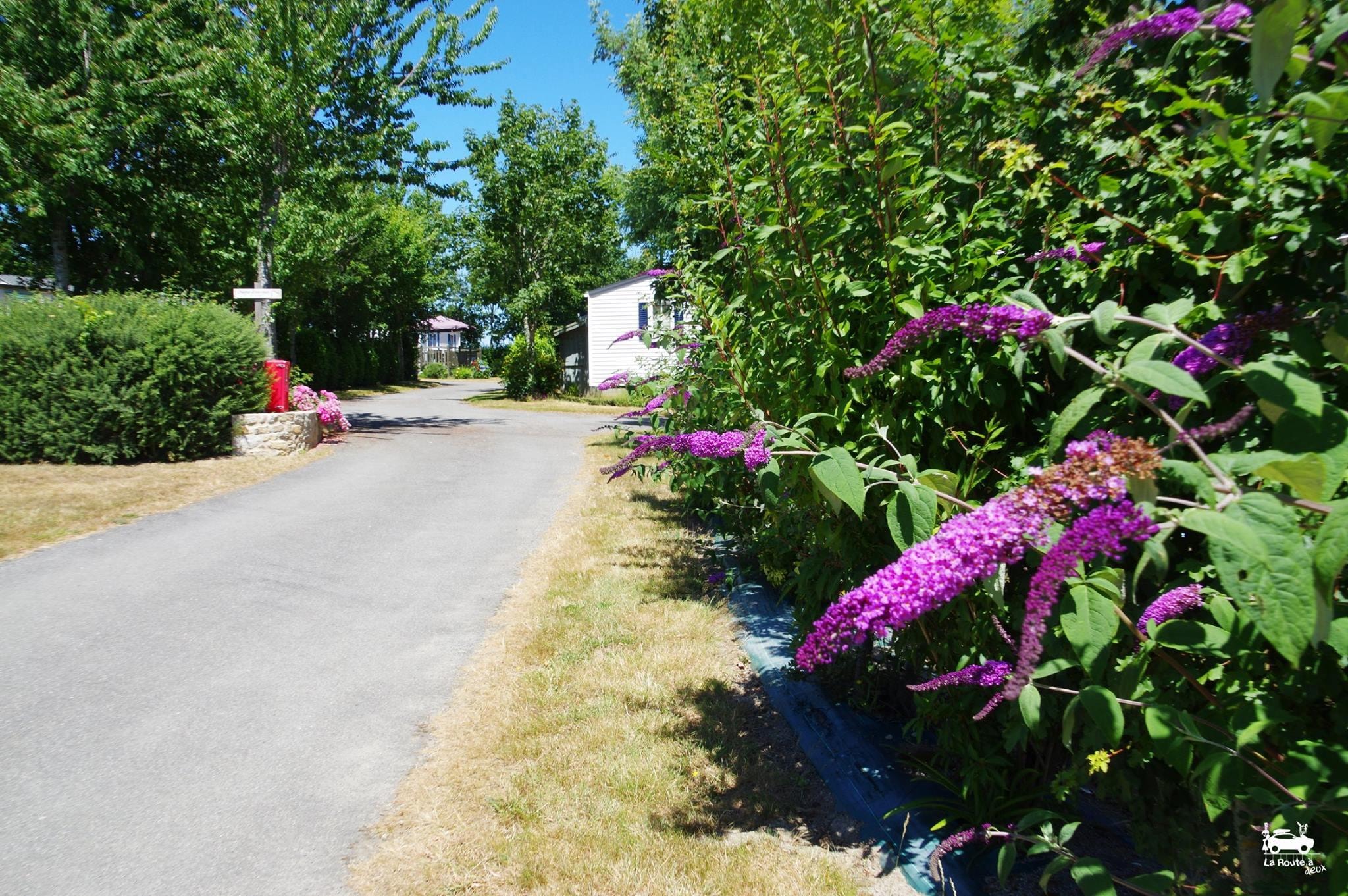 Camping La Ferme de Lann Hoedic — Photo 8