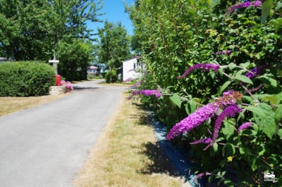 Camping La Ferme de Lann Hoedic