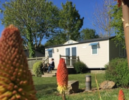 Accommodation - Mobile-Home O'phéa 784 A - Camping La Ferme de Lann Hoedic