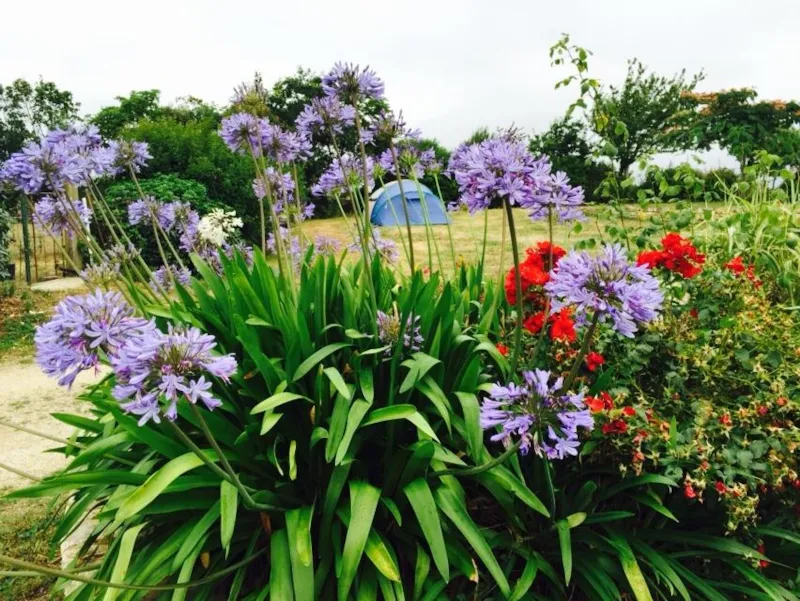 Emplacement Sans Électricité