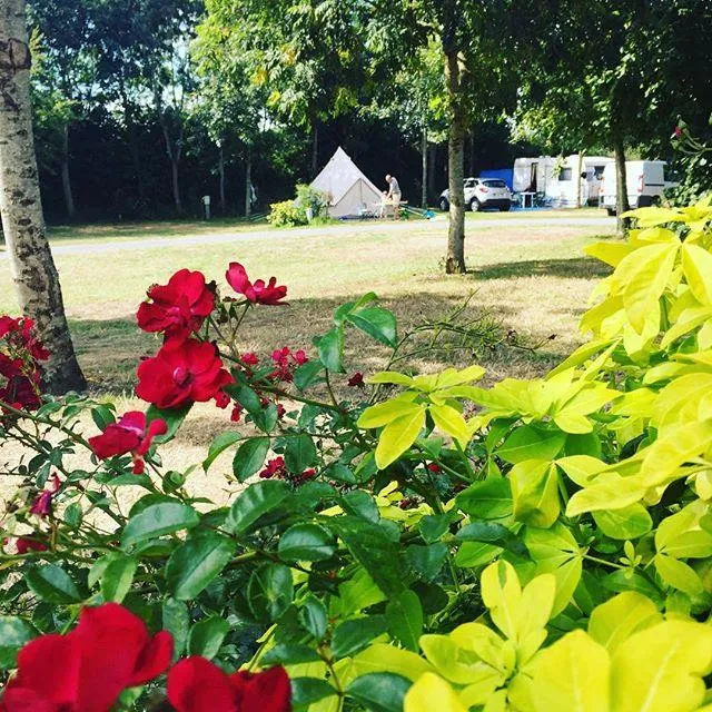 Emplacement Sans Électricité