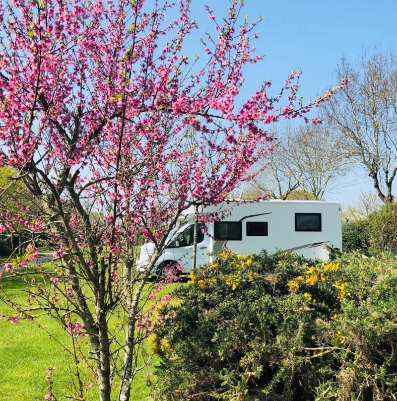 Emplacement Camping Car Avec Electricité