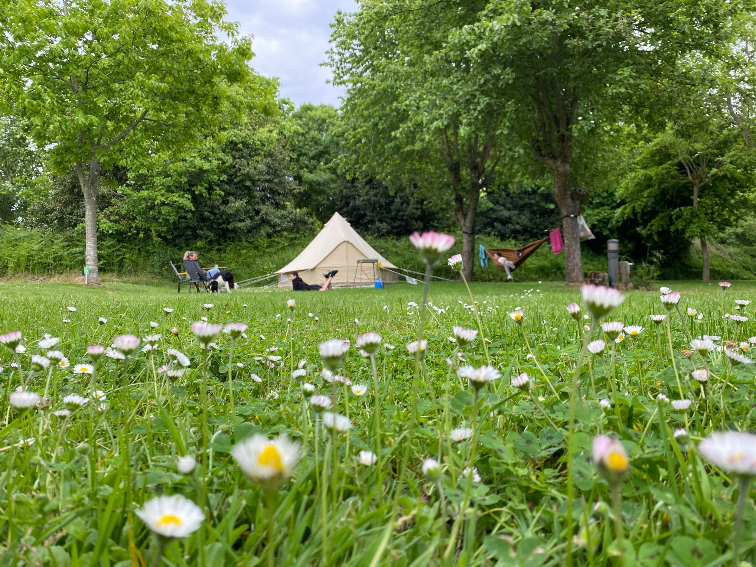 Camping La Ferme de Lann Hoedic — Photo 5