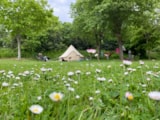 Foto #5 van Camping La Ferme de Lann Hoedic