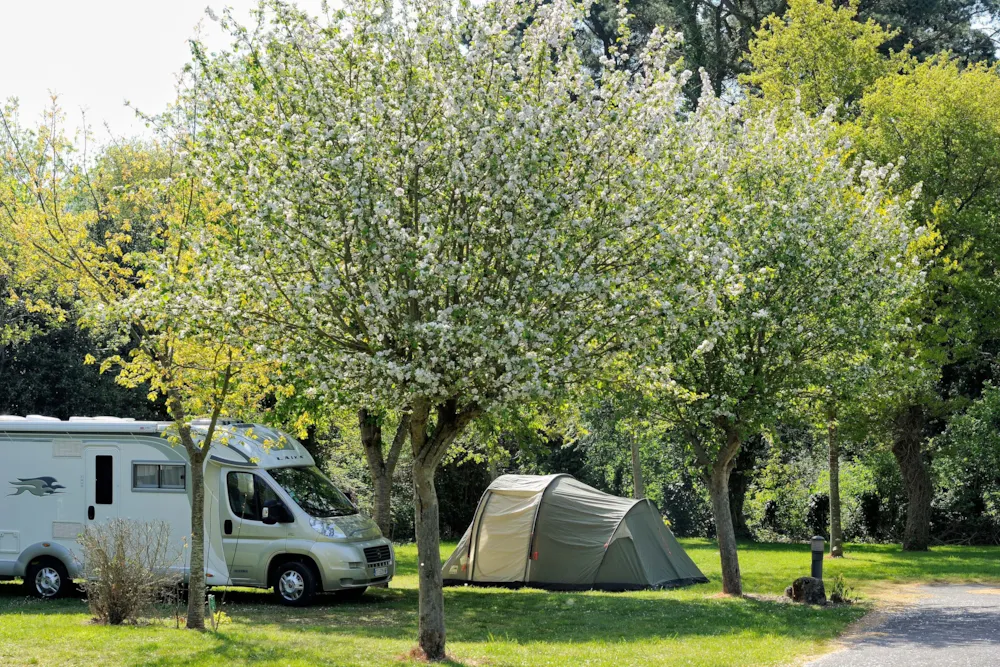 Emplacement - Emplacement Camping Car Avec Electricité - Camping La Ferme de Lann Hoedic