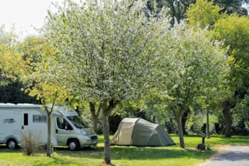 Stellplatz - Reisemobilhafen (1 Nächte) - Camping La Ferme de Lann Hoedic