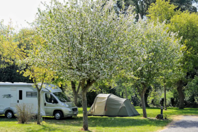 Pitch: motor home + electricity — 1