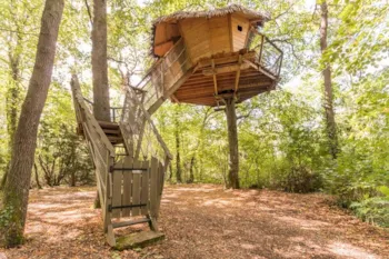 Mietunterkunft - Cabane Perchée 'Un Nid Dans Les Étoiles' - Le Petit Trianon