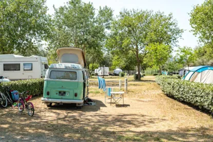 Piazzola Con Elettricità