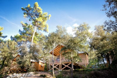 Camping Signol*****