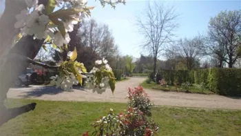 Kampeerplaats(en) - Standplaats : Auto + Tent / Caravan Of Kampeerauto + Elektriciteit 10A - Camping de Sologne Salbris