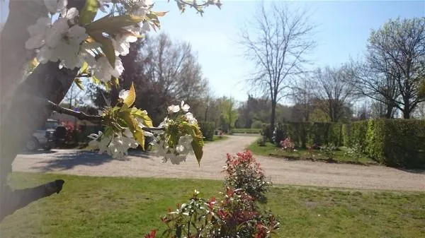 Emplacement : Voiture + Tente/Caravane Ou Camping-Car + Électricité 10A