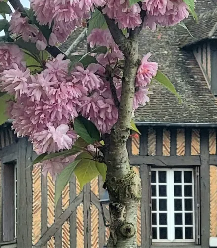 Camping de Sologne Salbris