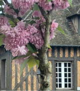 Foto #8 van Camping de Sologne Salbris