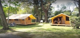 Établissement Camping Les Pins - Crozon