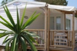 Mobil-Home Moon Duo 16M² Mobil-Home Moon Duo 16M²