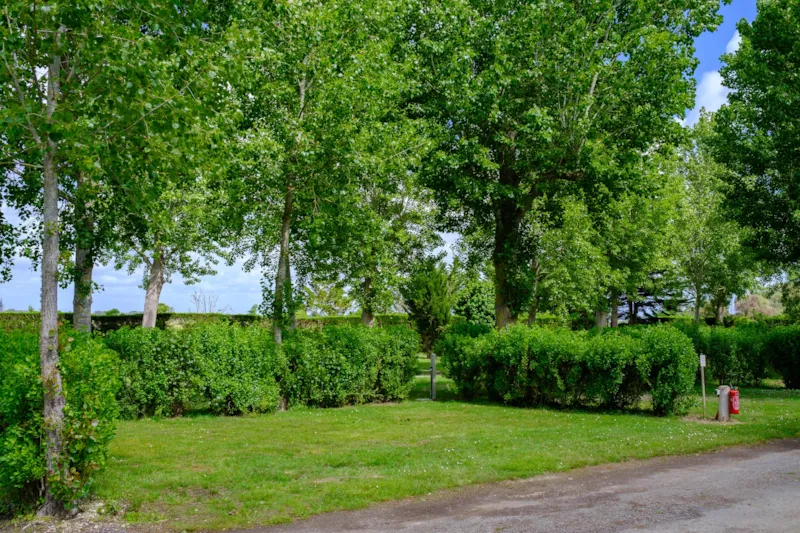 Forfait Confort (1 Tente, Caravane Ou Camping-Car / 1 Voiture / Électricité 6A)