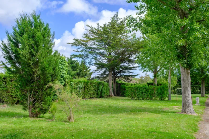 Forfait Confort (1 Tente, Caravane Ou Camping-Car / 1 Voiture / Électricité 6A)