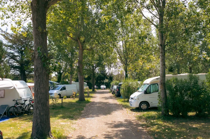 Forfait Confort (1 Tente, Caravane Ou Camping-Car / 1 Voiture / Électricité 6A)