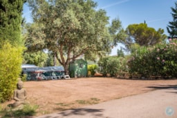 Pitch - 'Confort' Pitch (Caravan/Motor Home, No Tents) With Fridge, Dish-Washer And Electric Plancha - Esterel Caravaning
