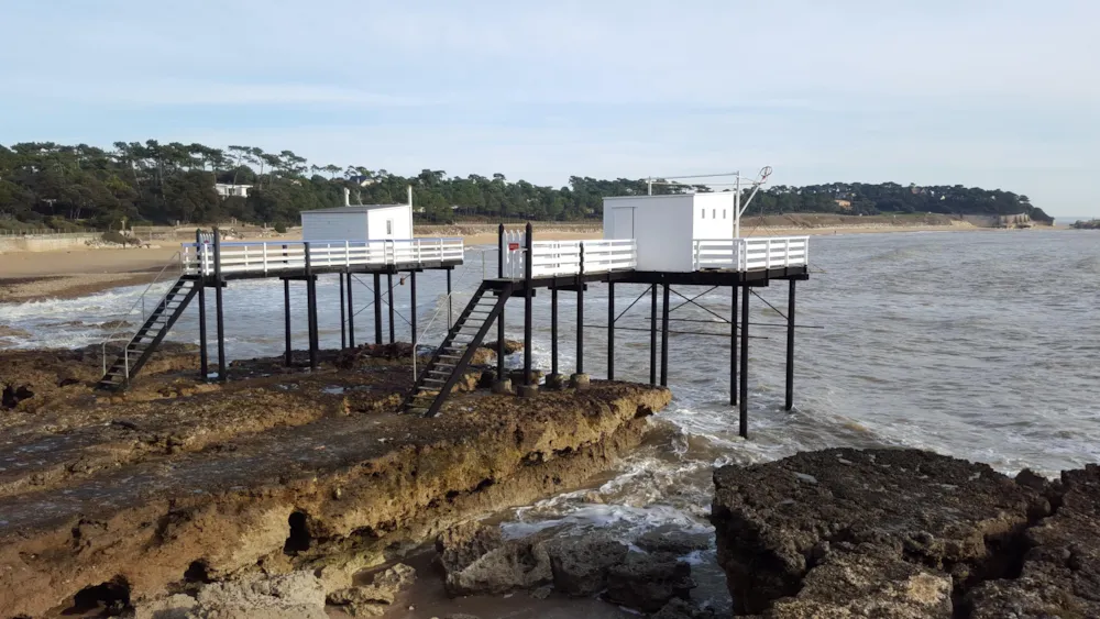 Flower Camping Le Nauzan Plage - image n°24 - UniversalBooking