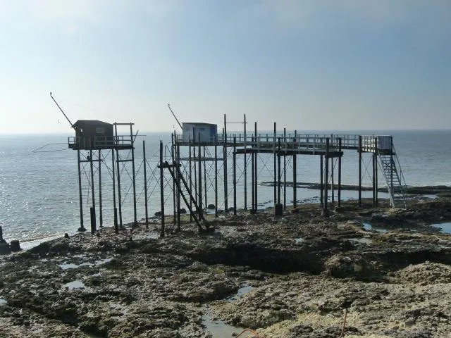 Flower Camping Le Nauzan Plage - image n°37 - UniversalBooking