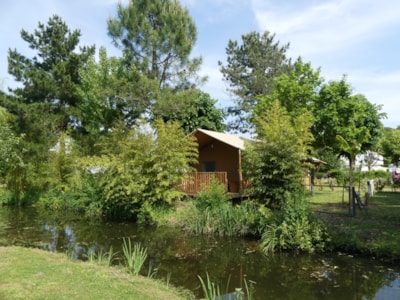Tente Woody Premium +38m² -  2 bedrooms + sheltered terrace + TV