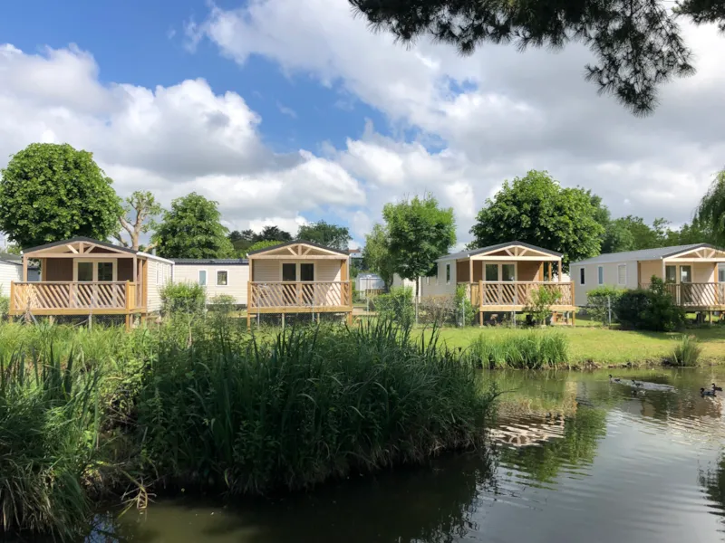 Mobil Home Premium 25M² - 2 Chambres + Terrasse Couverte + Tv + Lave-Vaisselle